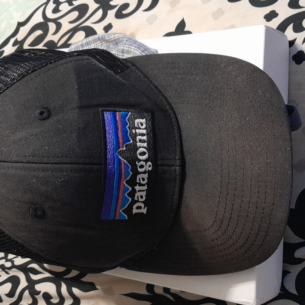Patagonia Trucker snap back cap